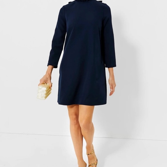 Tuckernuck Daphne navy dress - Picture 1 of 6